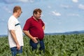 Undefined farmer in corn field