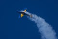 Smoke Squadron - Brazilian Air Force