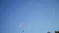 Paraplaner flies in blue sky