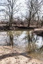 Parapotamon of Odra river in CHKO Poodri in Czech republic