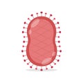 Parapoxvirus Disease Microorganisms Vector