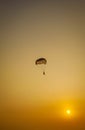 Parasailing extreme sports on beach in sunset background. Royalty Free Stock Photo