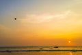 Parasailing extreme sports on beach in sunset background. Royalty Free Stock Photo