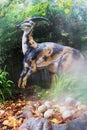 Parasaurolophus belongs to the duck-billed dinosaur group