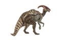 Parasaurolophus Dinosaur on white background Royalty Free Stock Photo