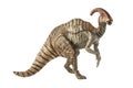 Parasaurolophus Dinosaur on white background Royalty Free Stock Photo