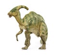 Parasaurolophus dinosaurs herbivores. Royalty Free Stock Photo