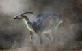 Parasaurolophus in the Fog