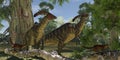 Parasaurolophus in the Forest