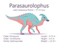 Parasaurolophus. Ornithischian dinosaur. Colorful vector illustration of prehistoric creature parasaurolophus and Royalty Free Stock Photo