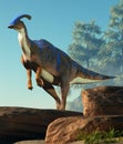 Parasaurolophus Standing on Rocks
