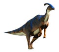 Parasaurolophus Standing on Two Legs