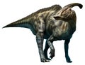 Parasaurolophus walkeri