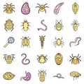 Parasite insect icons set vector color Royalty Free Stock Photo