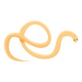 Parasite worm icon, cartoon style Royalty Free Stock Photo