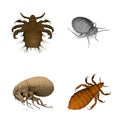 4 parasites Royalty Free Stock Photo