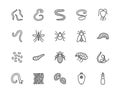 Parasites flat line icons set. Intestinal worm, helminth, sandfly, tick, dog flea, leech, qiardia, dengue mosquito