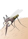 Parasitic bug on flesh Royalty Free Stock Photo