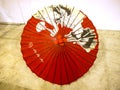 Parasol at the Festival of the Orient in Rome Italy