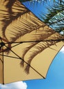 Parasol, Palm and Blue Sky.