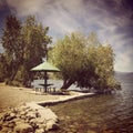 Parasol and tree leaning in water on lakeshore