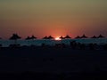 Parasols on an empty beach at sunset. Albania