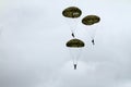 Paratrooper airshow Royalty Free Stock Photo