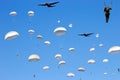 Paratrooper invasion