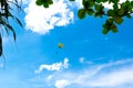 Paratrooper in the sky Royalty Free Stock Photo