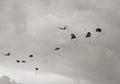 Paratroopers air drop Royalty Free Stock Photo