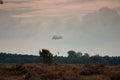 Paratroopers drop during the 72th commemoration of operation Market Garden