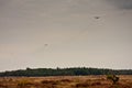 Paratroopers drop during the 72th commemoration of operation Market Garden