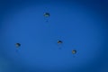 Paratroopers floating through the air