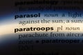 paratroops Royalty Free Stock Photo