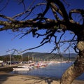 Paraty harbor or marina Royalty Free Stock Photo