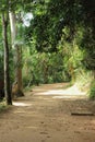 Paraty/Rio de Janeiro/ Brazil - 01-19-2020: trail to Forte Defensor PerpÃÂ©tuo. Historical place to know about early years