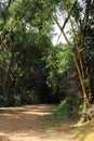 Paraty/Rio de Janeiro/ Brazil - 01-19-2020: trail to Forte Defensor PerpÃÂ©tuo. Historical place to know about early years