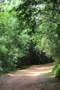 Paraty/Rio de Janeiro/ Brazil - 01-19-2020: trail to Forte Defensor PerpÃÂ©tuo. Historical place to know about early years