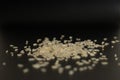 Parboiled long-grain rice on a black background. Stock photo of Close-up side views rice grain Royalty Free Stock Photo