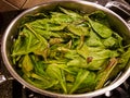 Parboiling Polk Salat Leaves in stainless steel pot on stove