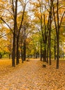 Parc, autumn Royalty Free Stock Photo