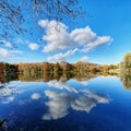 Parc de la tete d& x27;or, view of the lake and the trees in the autumn, Lyon, France Royalty Free Stock Photo