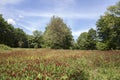 Parc de Pedra Tosca,Park Pumice stone,project by RCR Arquitectes,volcanic area La Garrotxa.Les Preses,Catalonia,Spain.