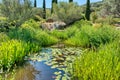 Parc De Saleccia - Pond