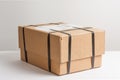 Parcel with strapping Royalty Free Stock Photo