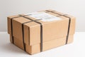 Parcel with strapping Royalty Free Stock Photo