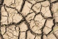 The parched earth has many cracks from intense heat Royalty Free Stock Photo