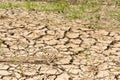 The parched earth has many cracks from intense heat Royalty Free Stock Photo