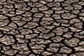 Parched land Royalty Free Stock Photo