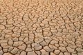 Parched land Royalty Free Stock Photo